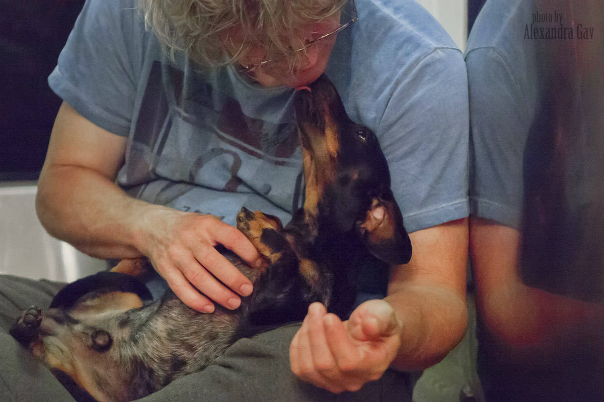 Ch.Zimerbude Cereteli