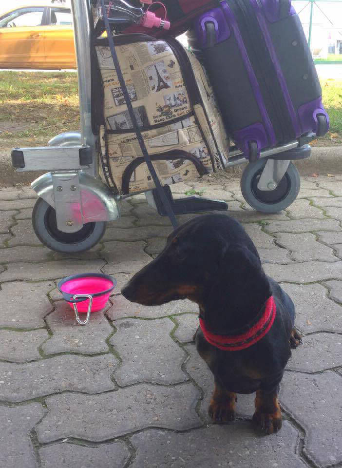 Bronte dei Centurioni