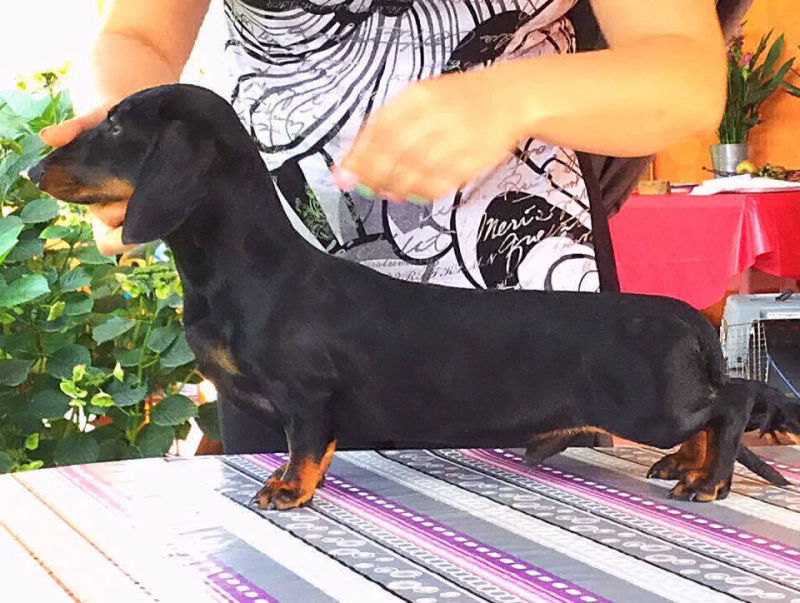 Bronte dei Centurioni